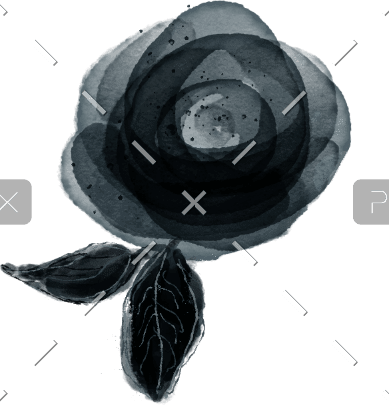 demo-attachment-426-history-bottom-right